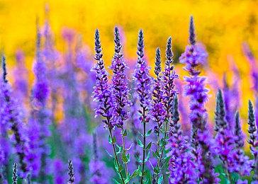 发行商Neon Doctrine公布多款新游 Steam页面已上线